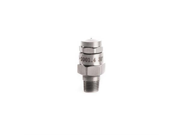 Dyse, 1/8 BSP-T 3001.4 0,64 liter/min 