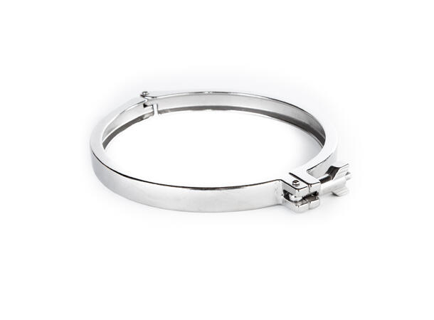 Tri Clamp, 6" 