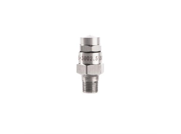 Dyse, 1/8 BSP-T 3002.5 1,1 liter/min 